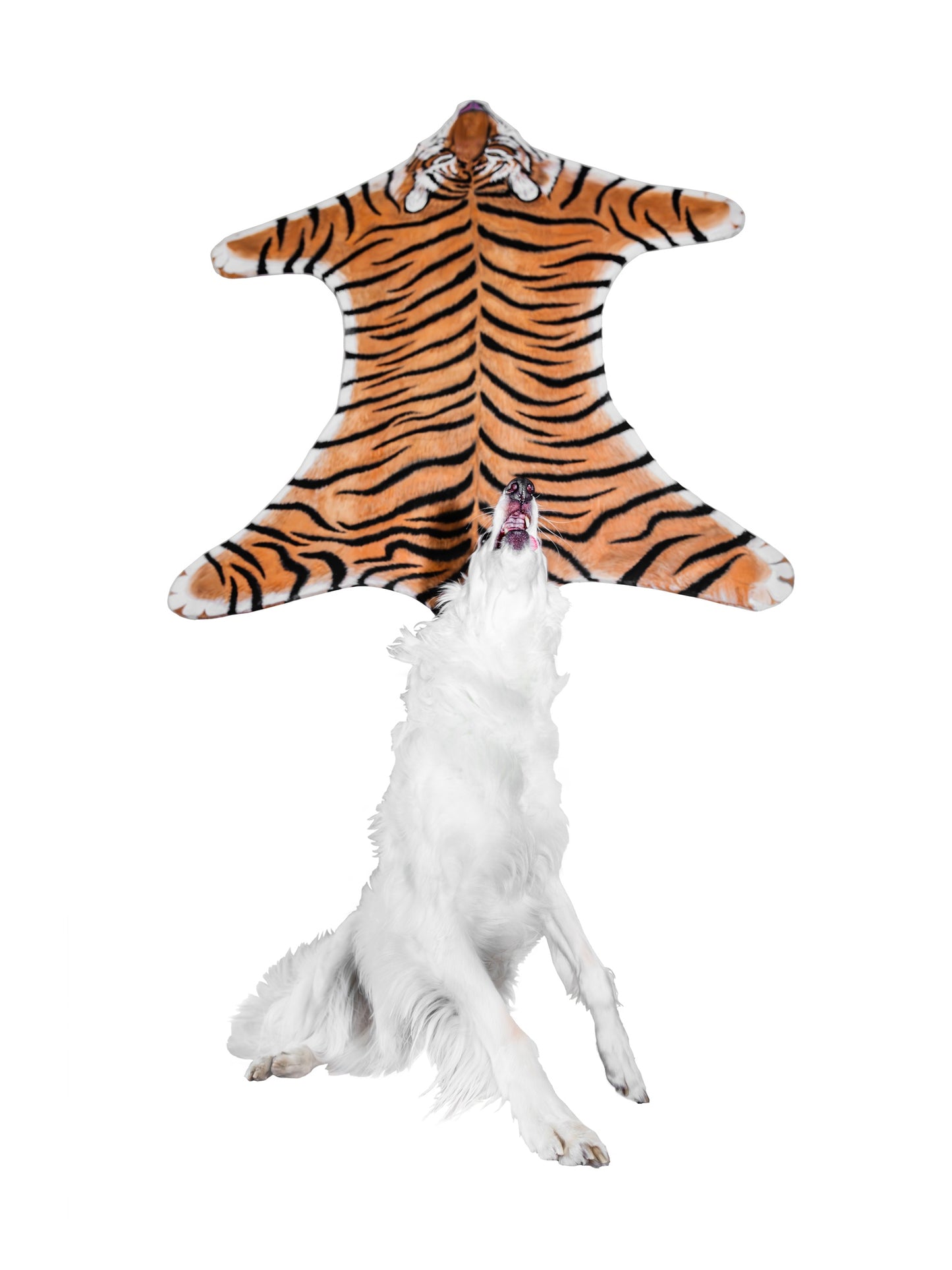 Skins I: Tiger