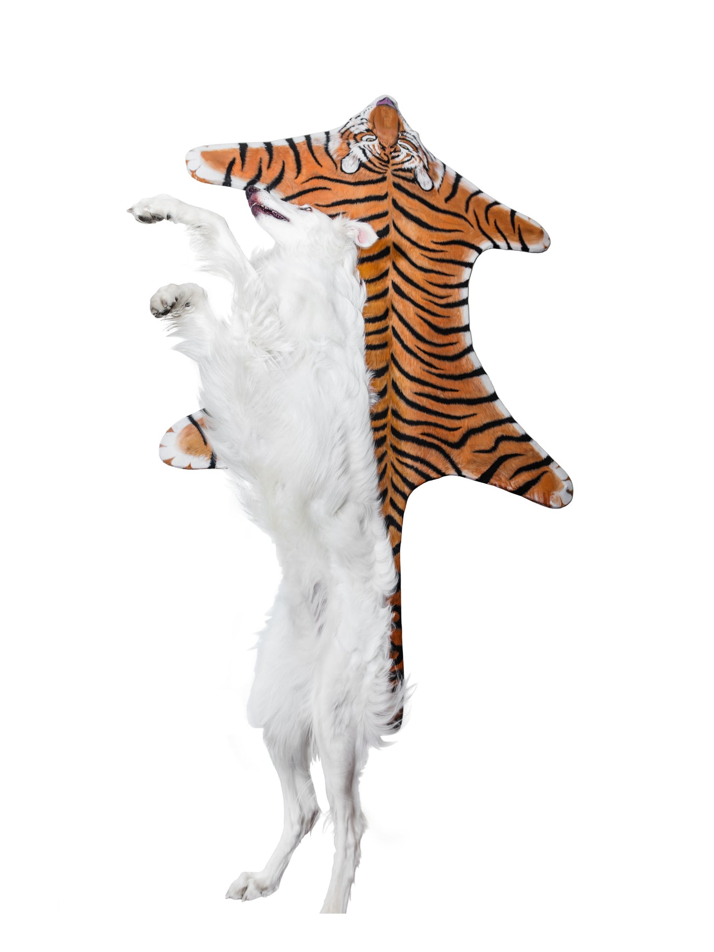 Skins I: Tiger